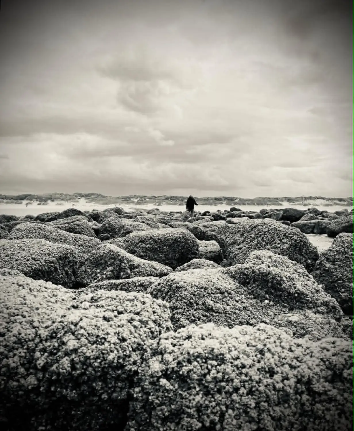 Fotografie von Angélique