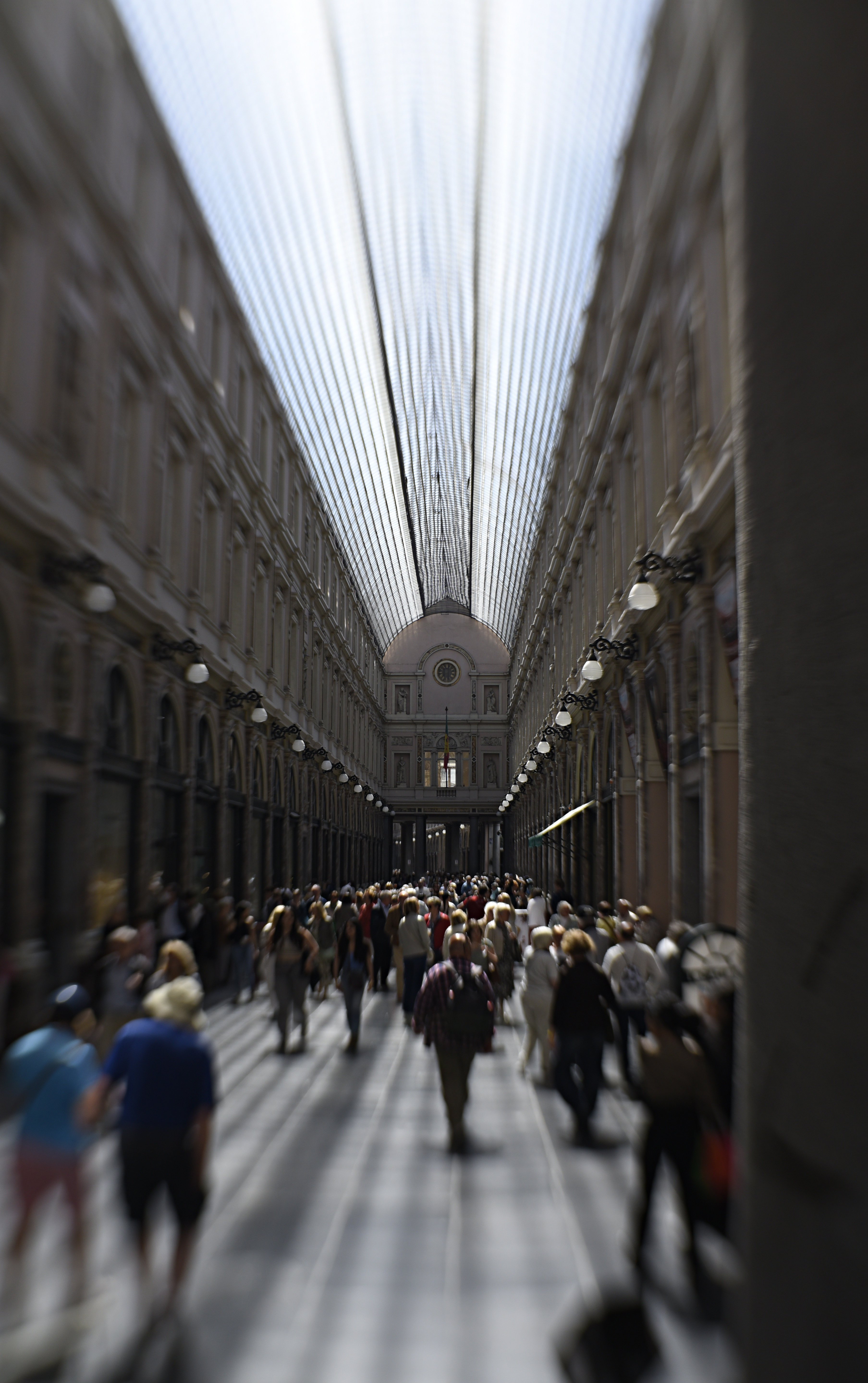Photo de galerie Helmut